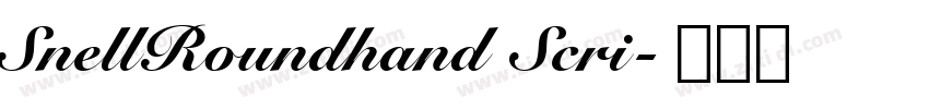 SnellRoundhand Scri字体转换